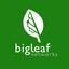 Bigleaf Networks Status