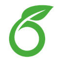 Overleaf Status