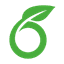 Overleaf Status